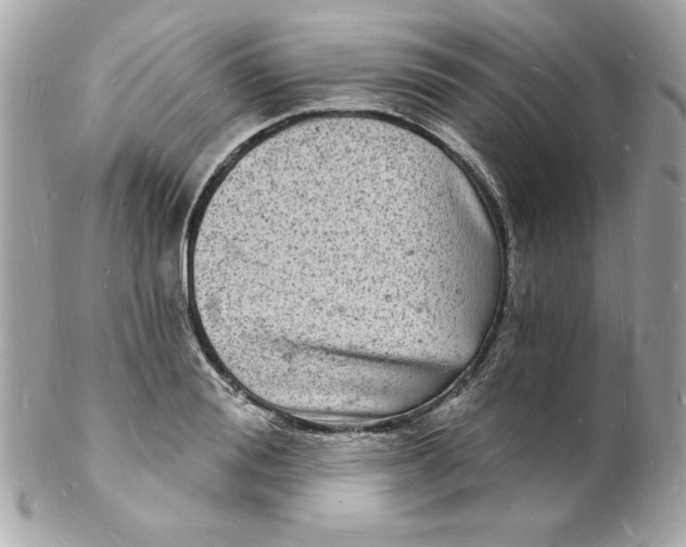 X0000102220988200808151701