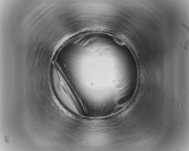 X0000102220989200808151701