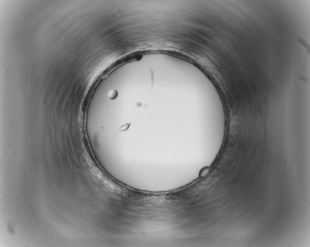 X0000102220990200808151701