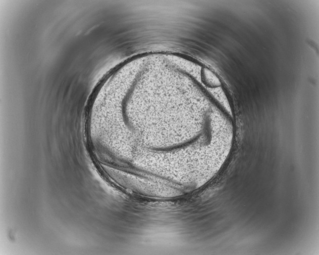 X0000102220991200808151701