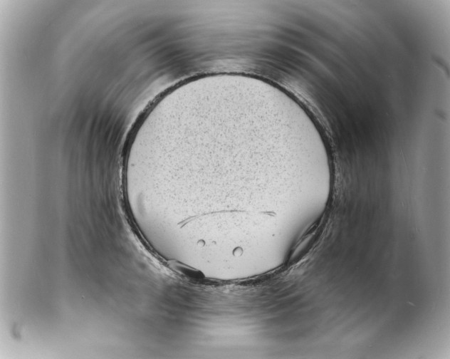 X0000102220992200808151701