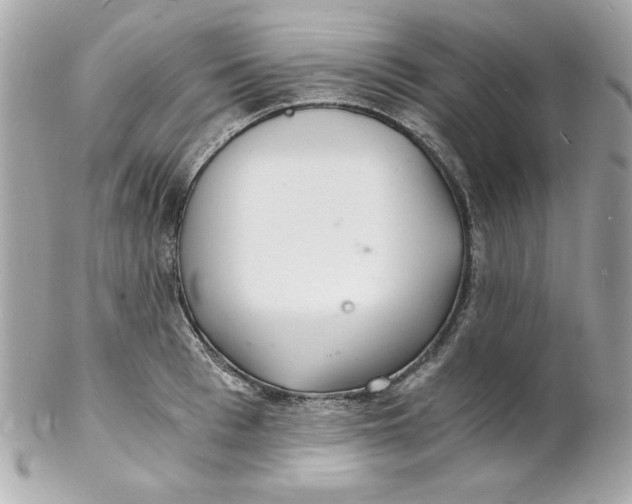 X0000102220993200808151701