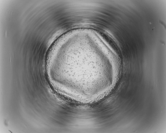 X0000102220994200808151701