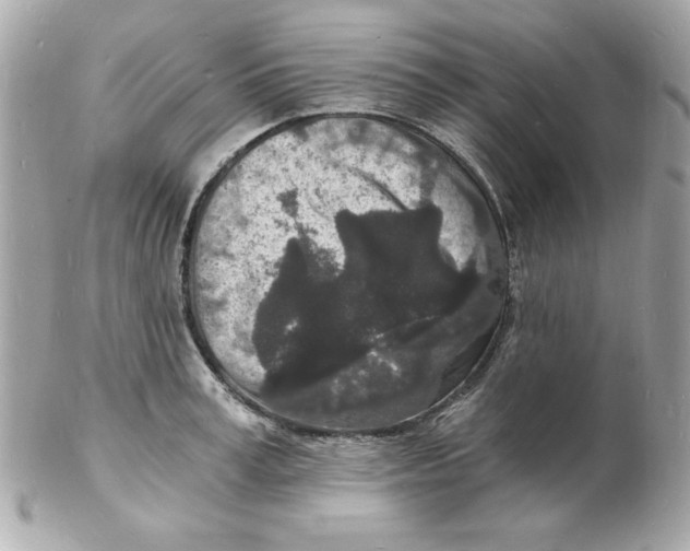 X0000102220995200808151701