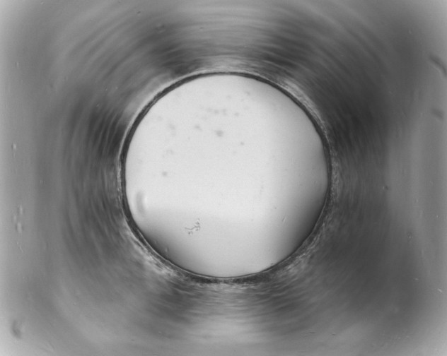 X0000102220996200808151701