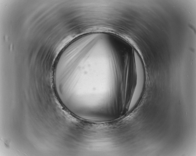 X0000102220997200808151701