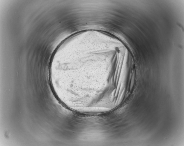 X0000102220999200808151701