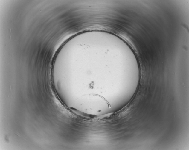 X0000102221000200808151701