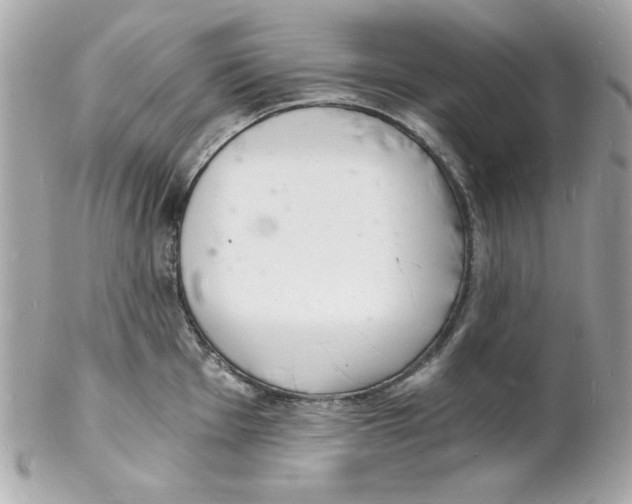 X0000102221001200808151701