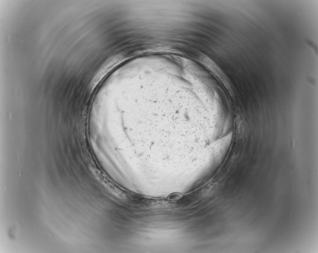 X0000102221002200808151701