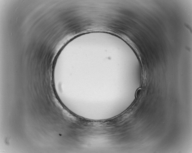 X0000102221005200808151701