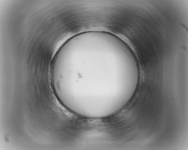 X0000102221006200808151701