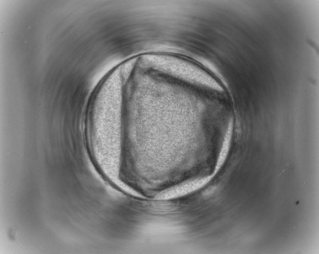 X0000102221007200808151701