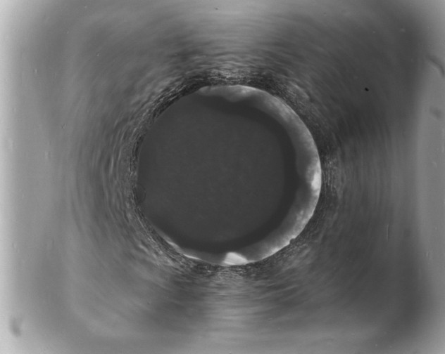 X0000102221009200808151700