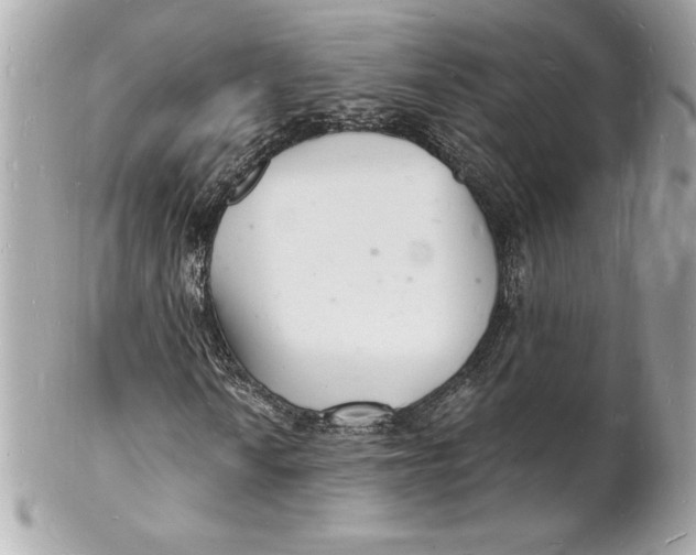 X0000102221010200808151700