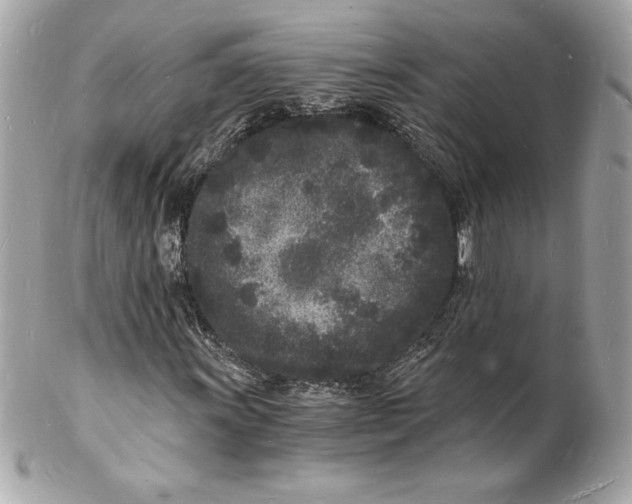 X0000102221011200808151700