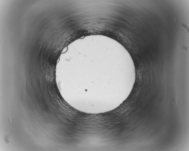 X0000102221012200808151700