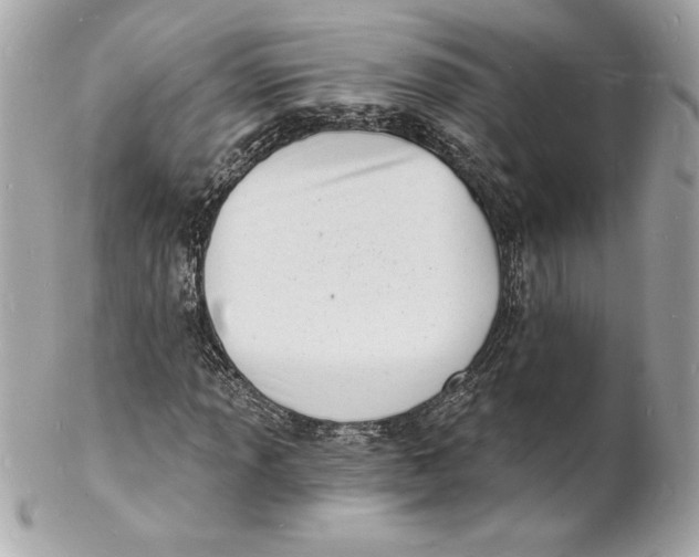 X0000102221013200808151700