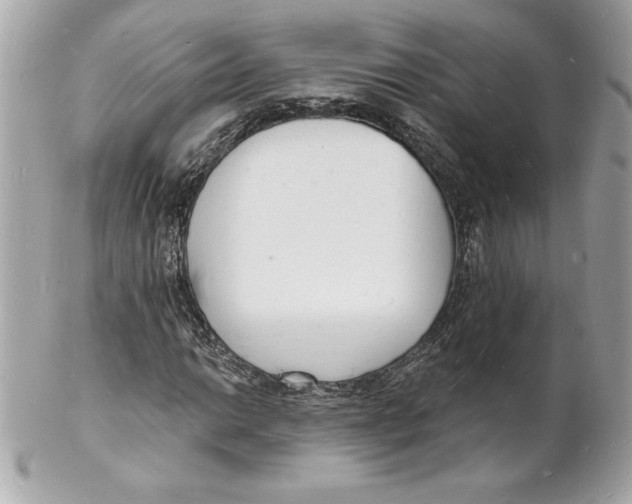 X0000102221014200808151700