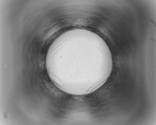 X0000102221015200808151700