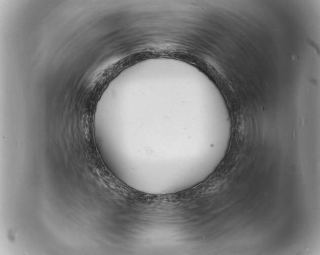 X0000102221016200808151700