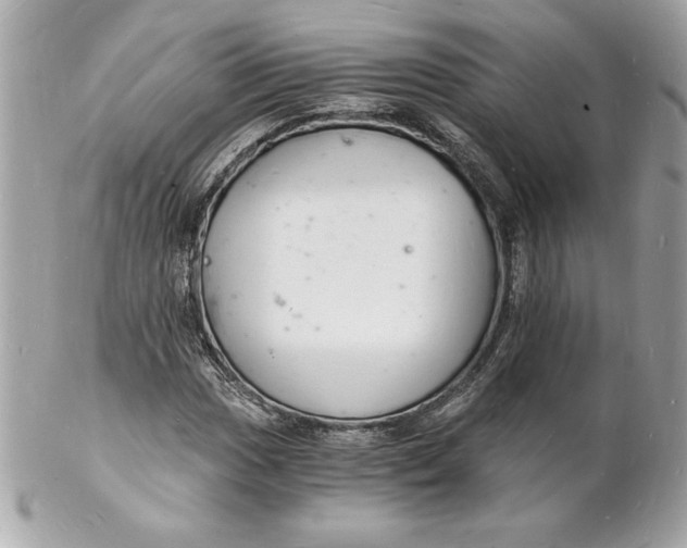 X0000102221017200808151700