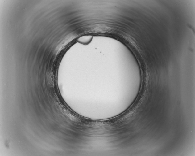 X0000102221018200808151700