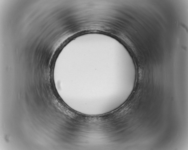 X0000102221020200808151700