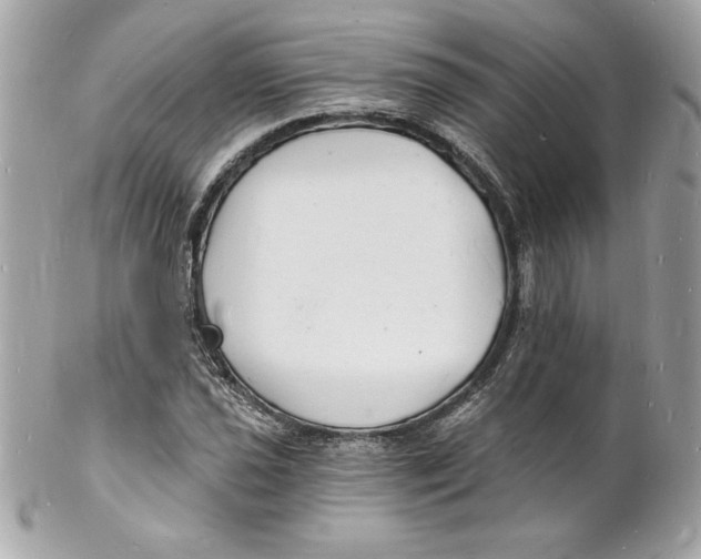 X0000102221021200808151700