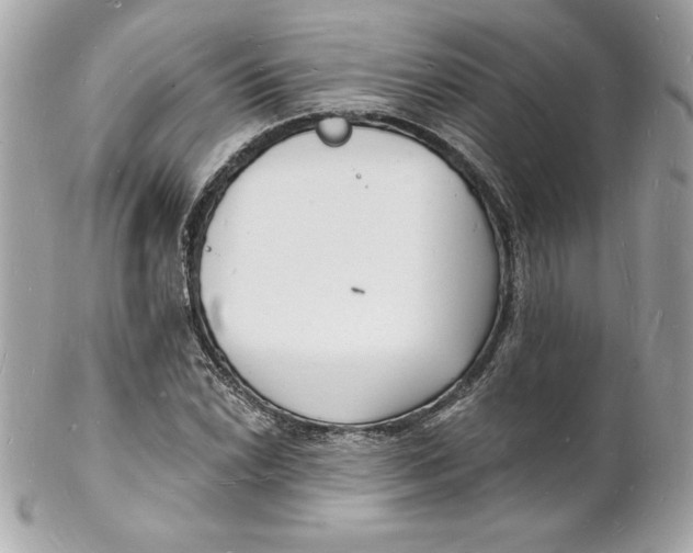 X0000102221022200808151700