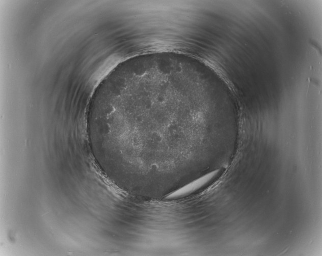 X0000102221023200808151700