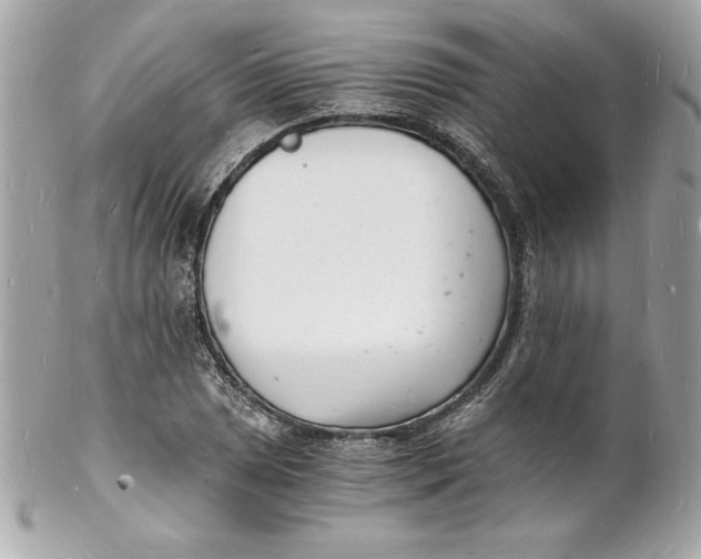 X0000102221025200808151700