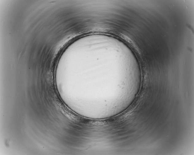 X0000102221027200808151700