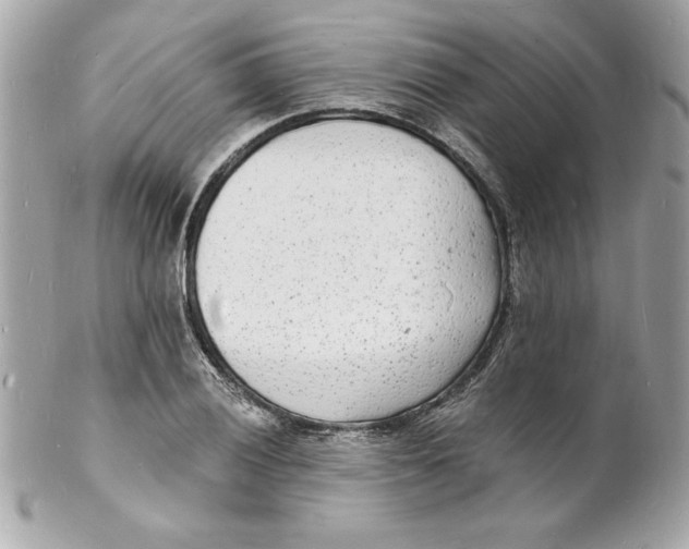 X0000102221028200808151700