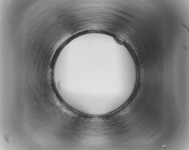 X0000102221029200808151700