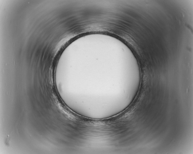 X0000102221030200808151700