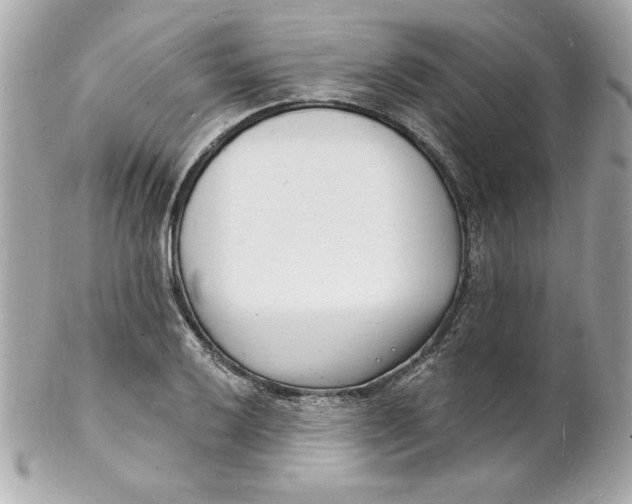 X0000102221032200808151700