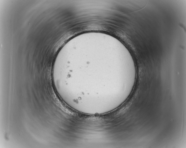 X0000102221033200808151700