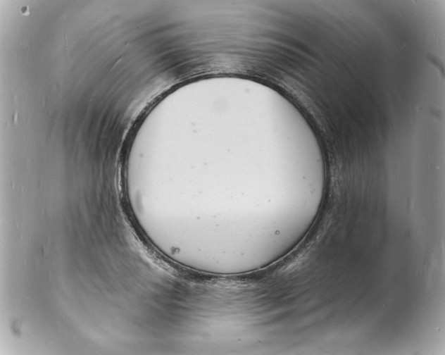 X0000102221034200808151700