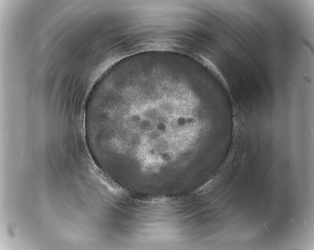 X0000102221035200808151700