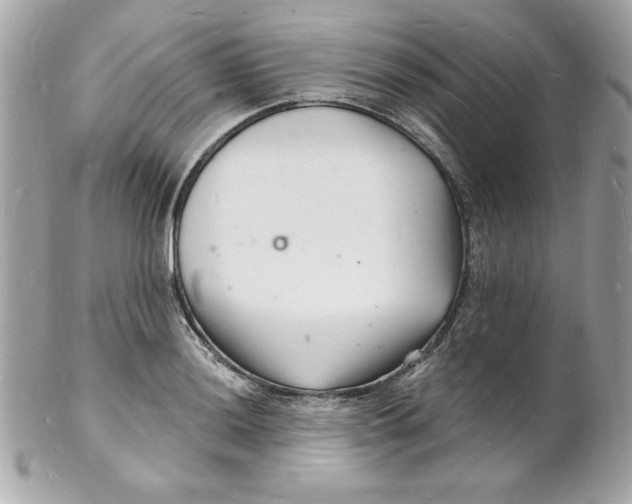 X0000102221036200808151700