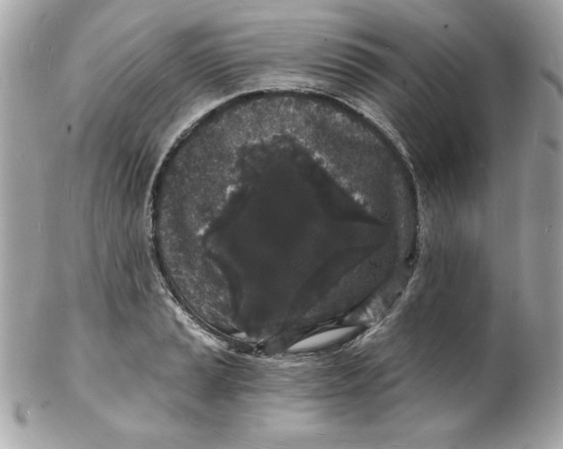 X0000102221037200808151700