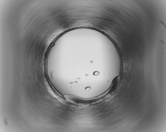 X0000102221038200808151700