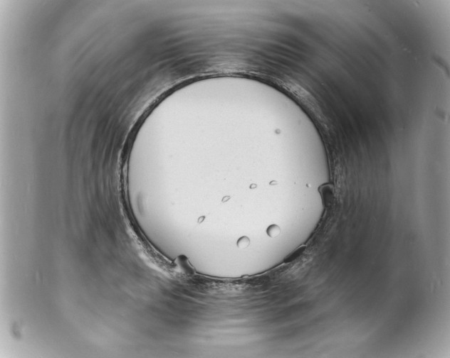 X0000102221039200808151700