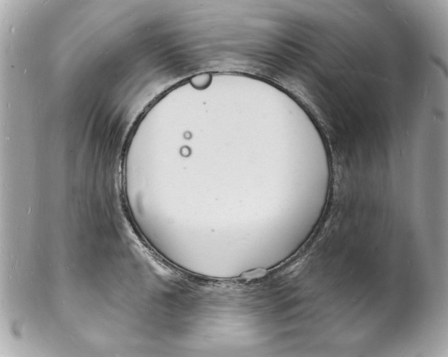 X0000102221040200808151700