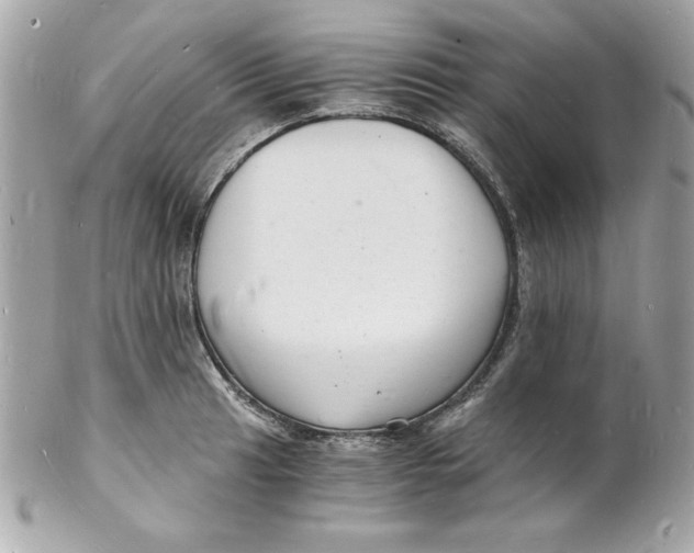 X0000102221041200808151700