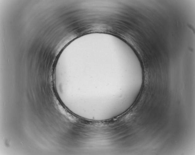 X0000102221042200808151700