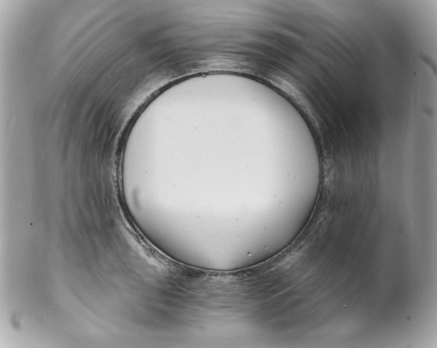 X0000102221043200808151700