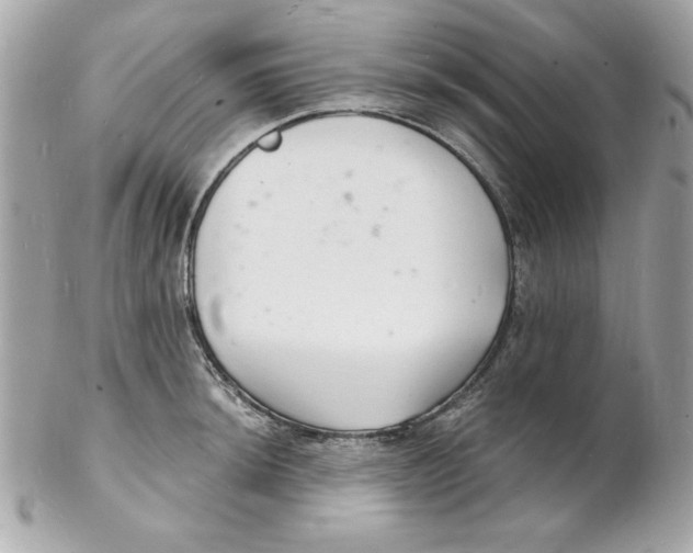 X0000102221044200808151700