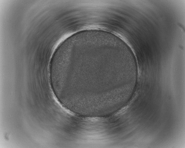 X0000102221045200808151700